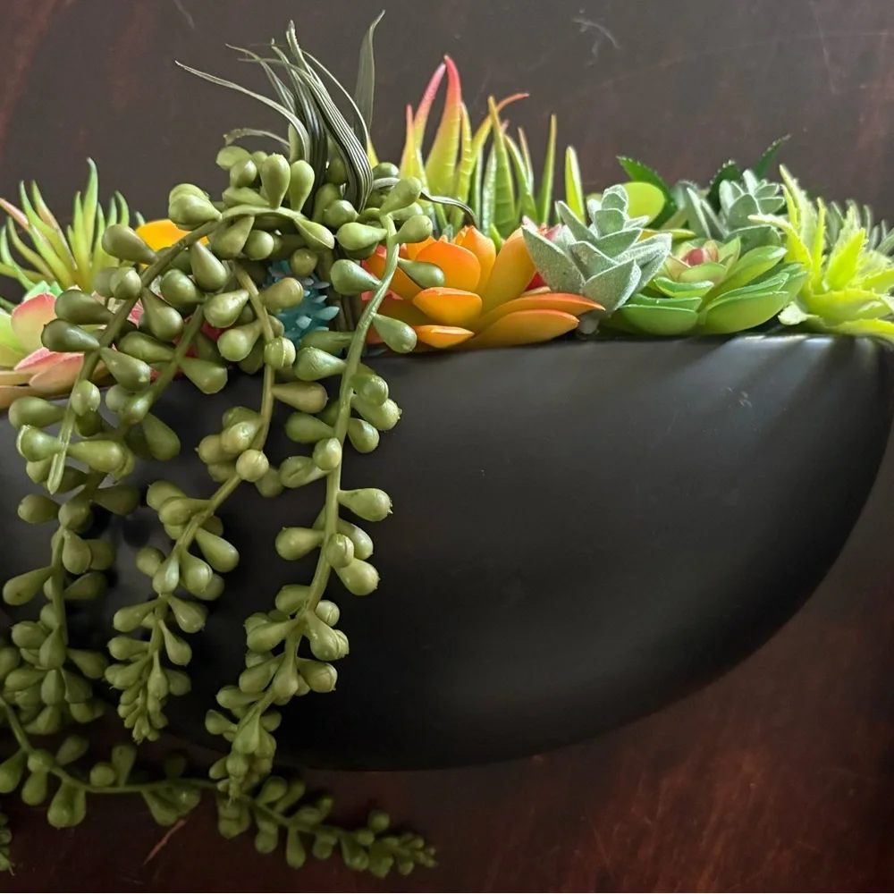 Succulent Arrangement in Black ceramic Bowl for wall